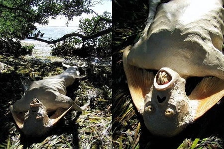 Thực hư quái vật người cá được rao bán giá cả nghìn USD ảnh 7